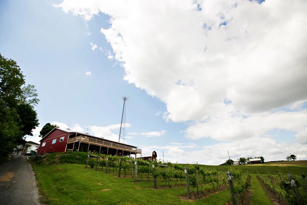 The Vineyard and Brewery at Hershey #2