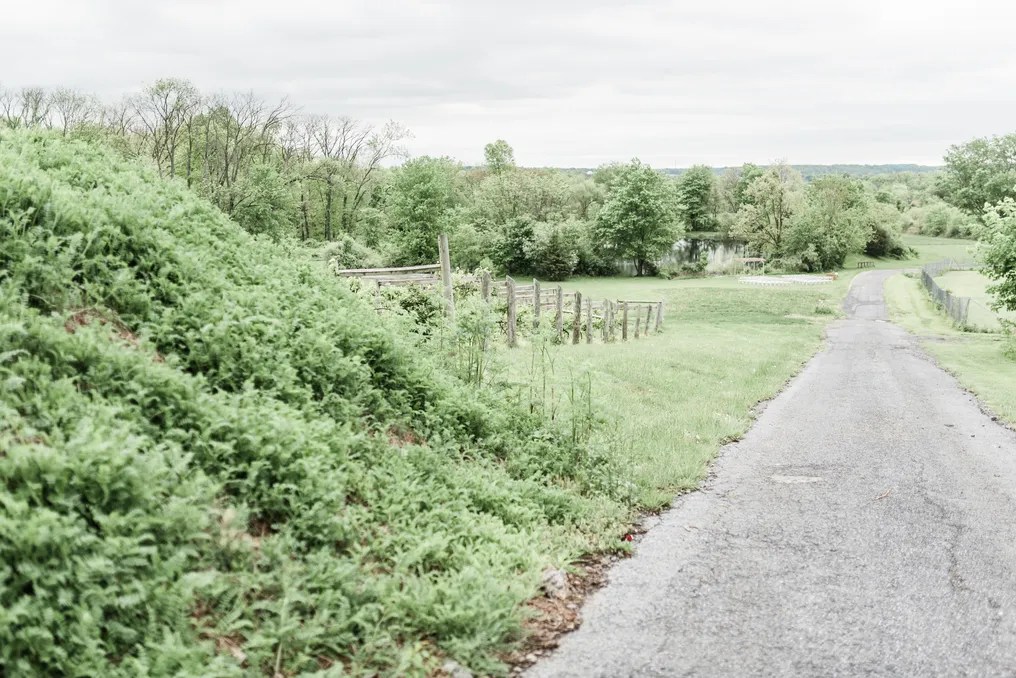 The Vineyard and Brewery at Hershey #3