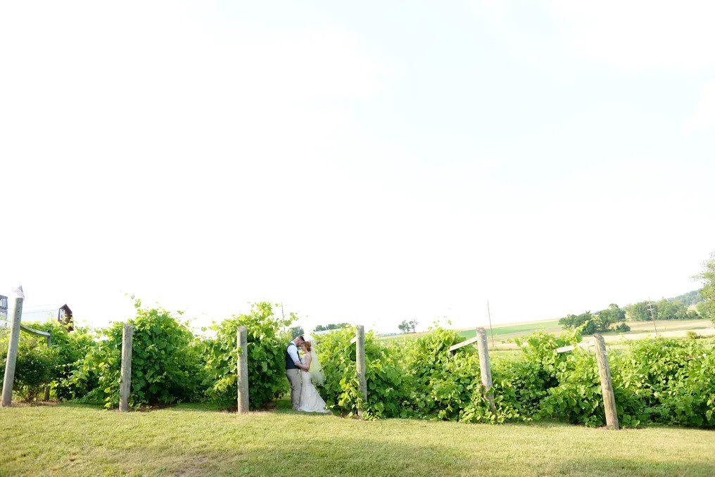 The Vineyard and Brewery at Hershey #7