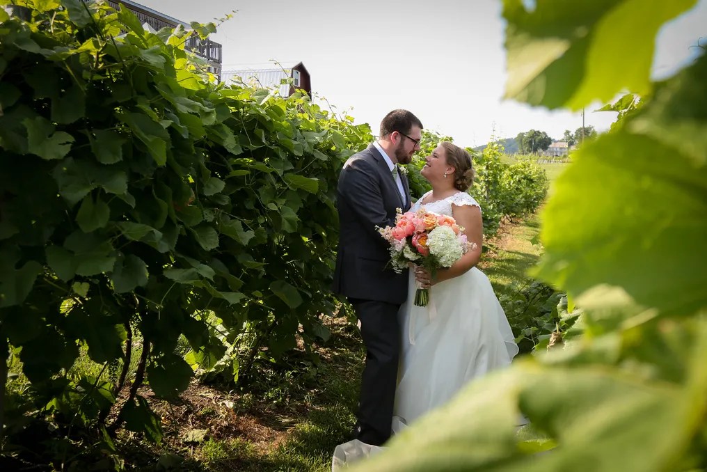The Vineyard and Brewery at Hershey #11