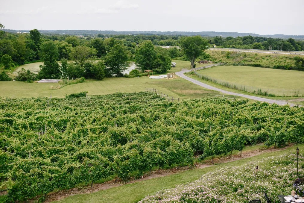 The Vineyard and Brewery at Hershey #31