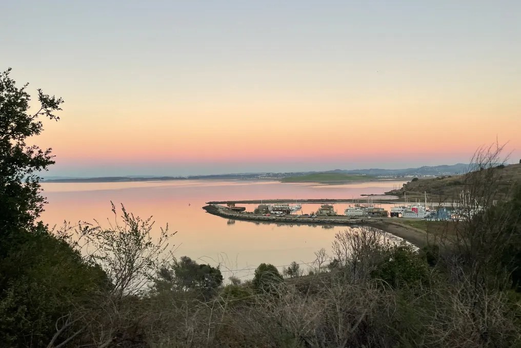 Point San Pablo Harbor #21
