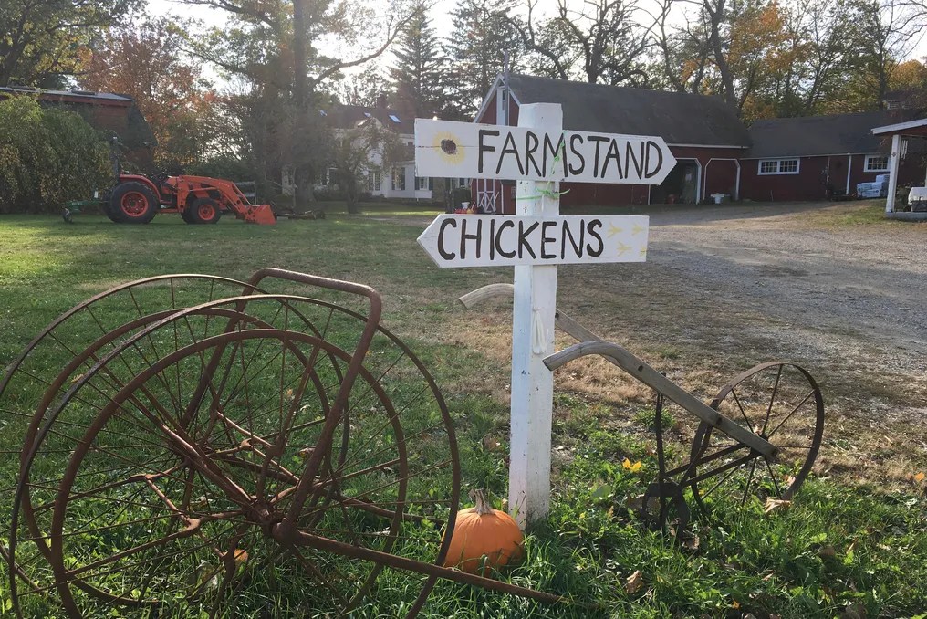 Sundial Farm #20