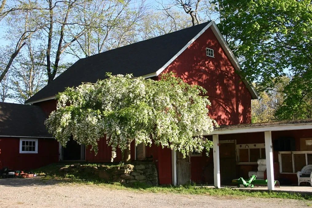 Sundial Farm #78
