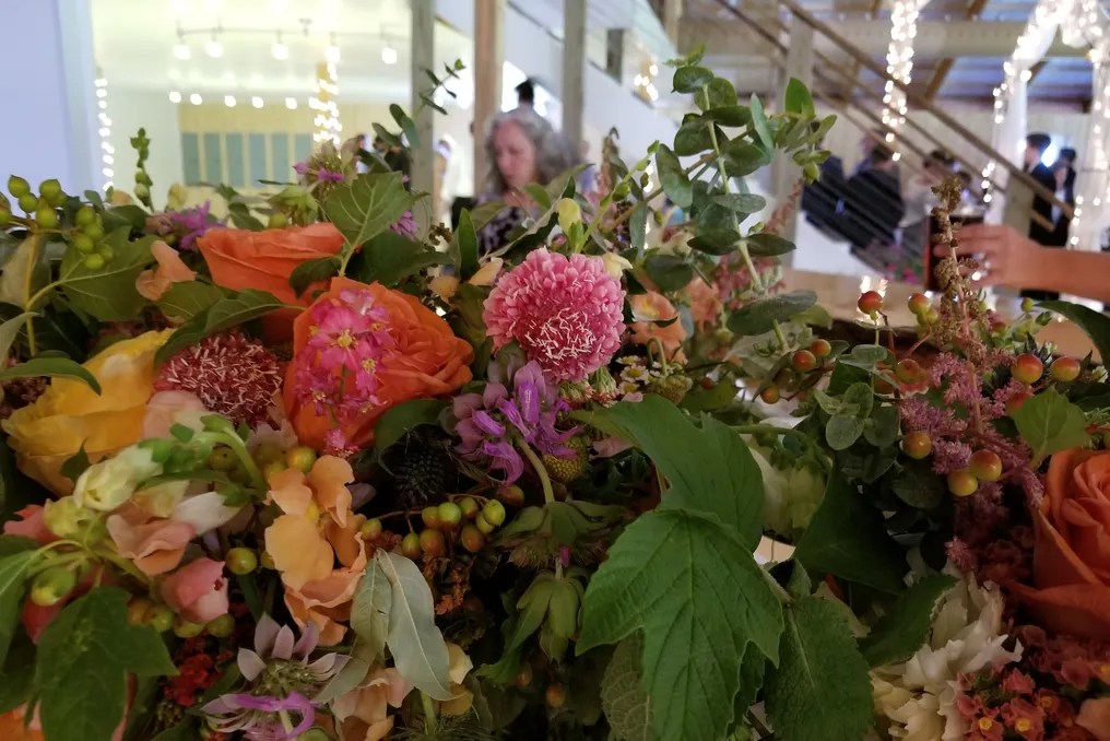 Backroom Brewery & Sunflower Cottage Herb Farm #6
