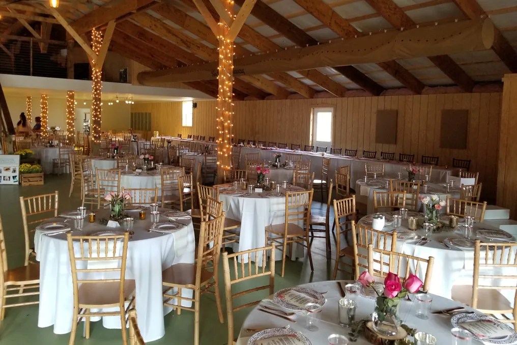 Backroom Brewery & Sunflower Cottage Herb Farm #8