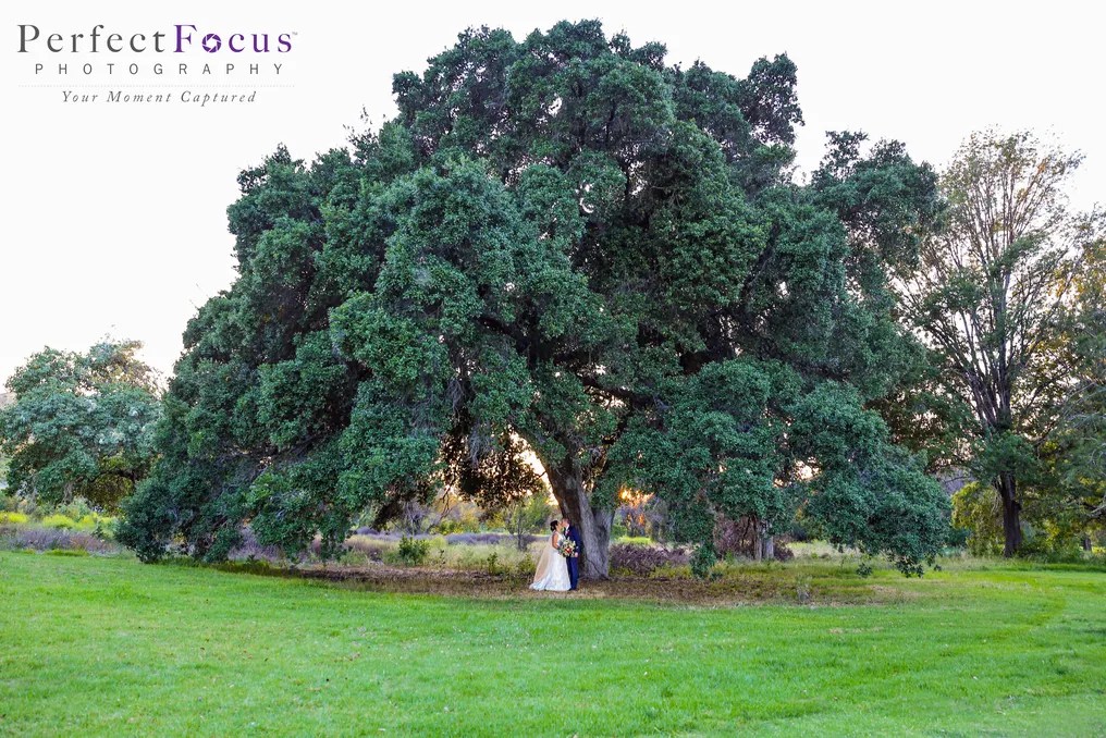 Fairview Green River #12