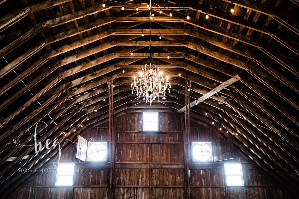 White Birch Barn #12
