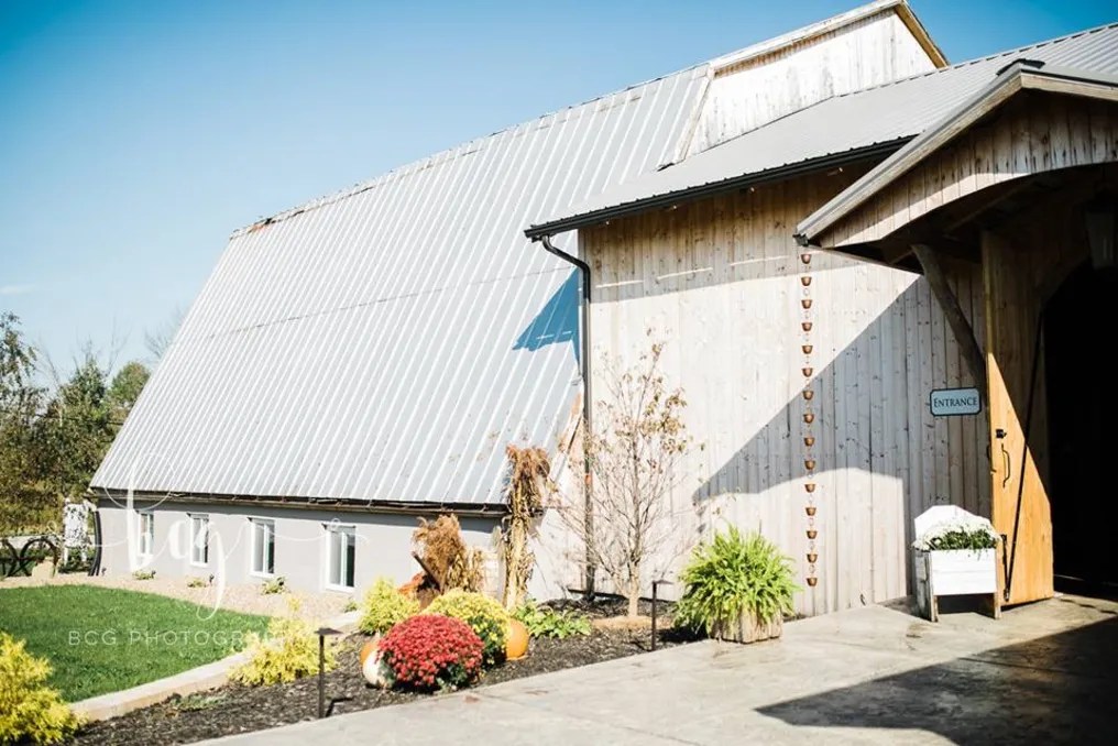 White Birch Barn #13