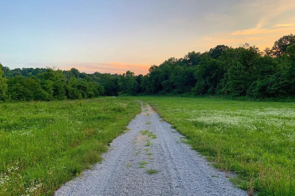 Double Creek Farm #16