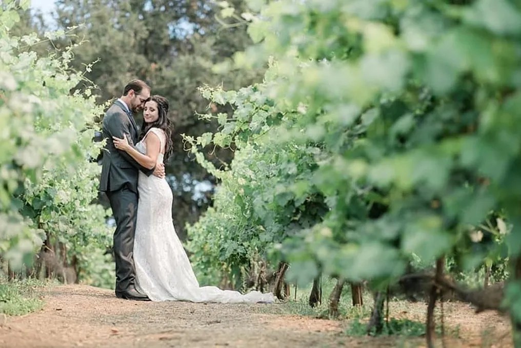 Giracci Vineyards & Farms #1