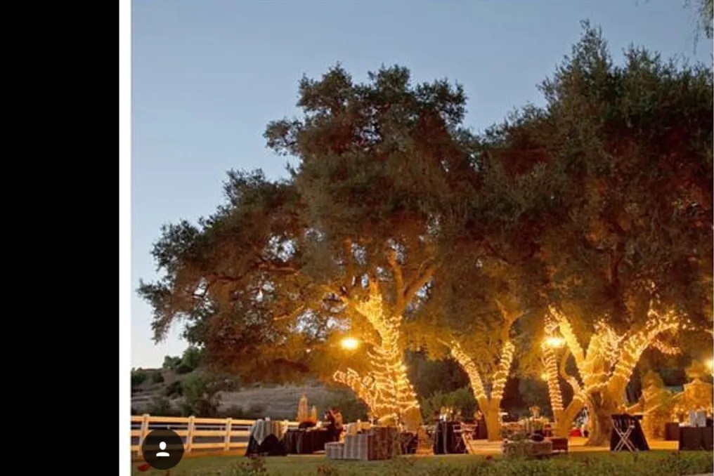 Giracci Vineyards & Farms #5