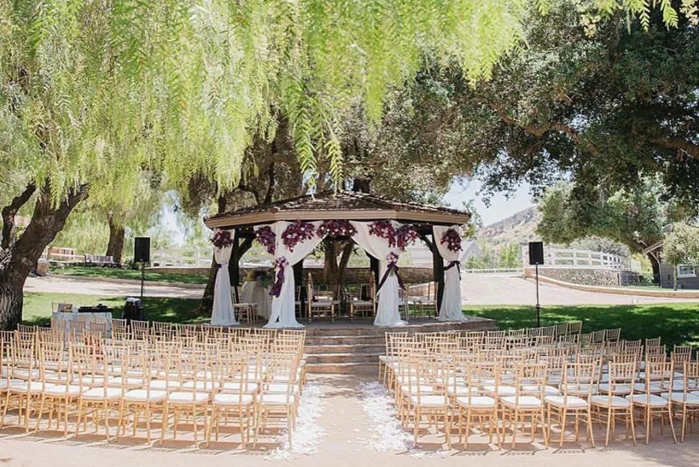 Giracci Vineyards & Farms #9
