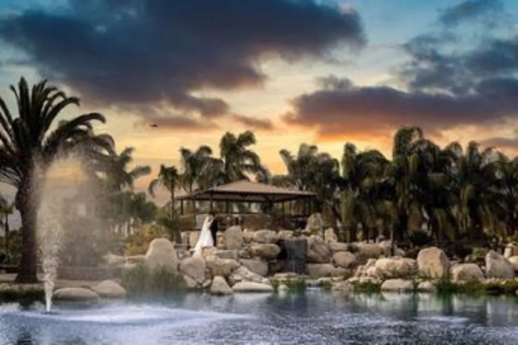 The Pond Weddings and Events #2