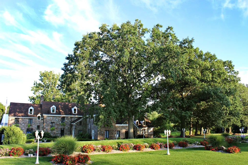 The Manor House at Prophecy Creek Park #57