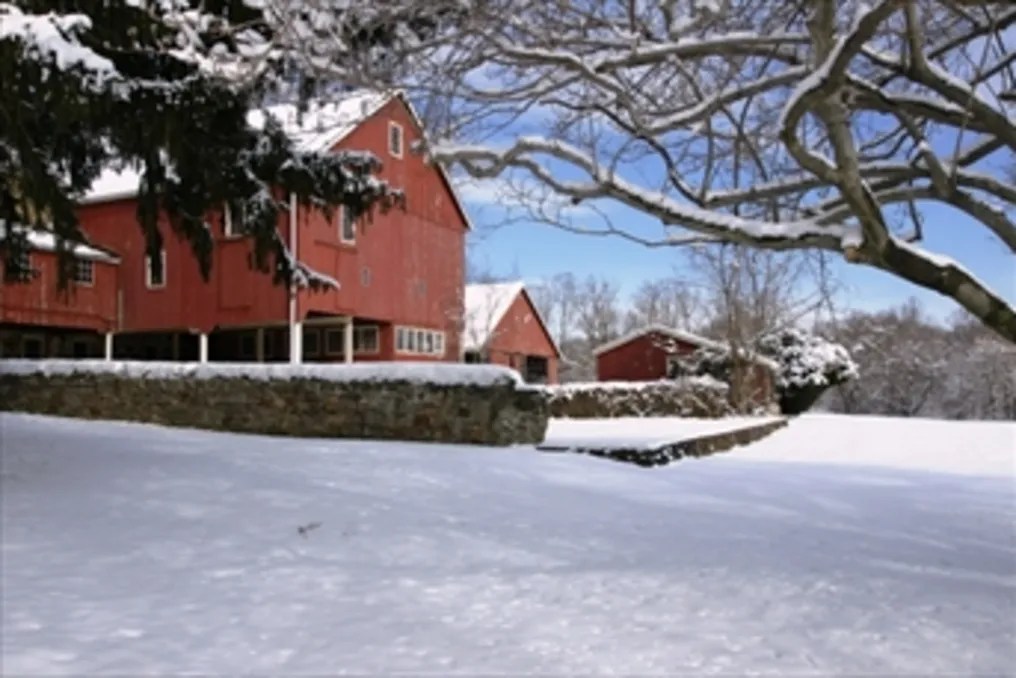 The Manor House at Prophecy Creek Park #64