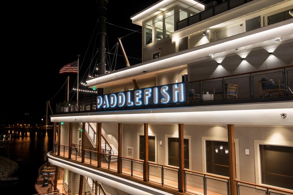 Paddlefish #41