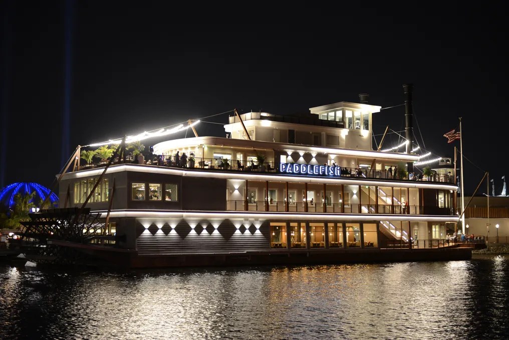 Paddlefish #52