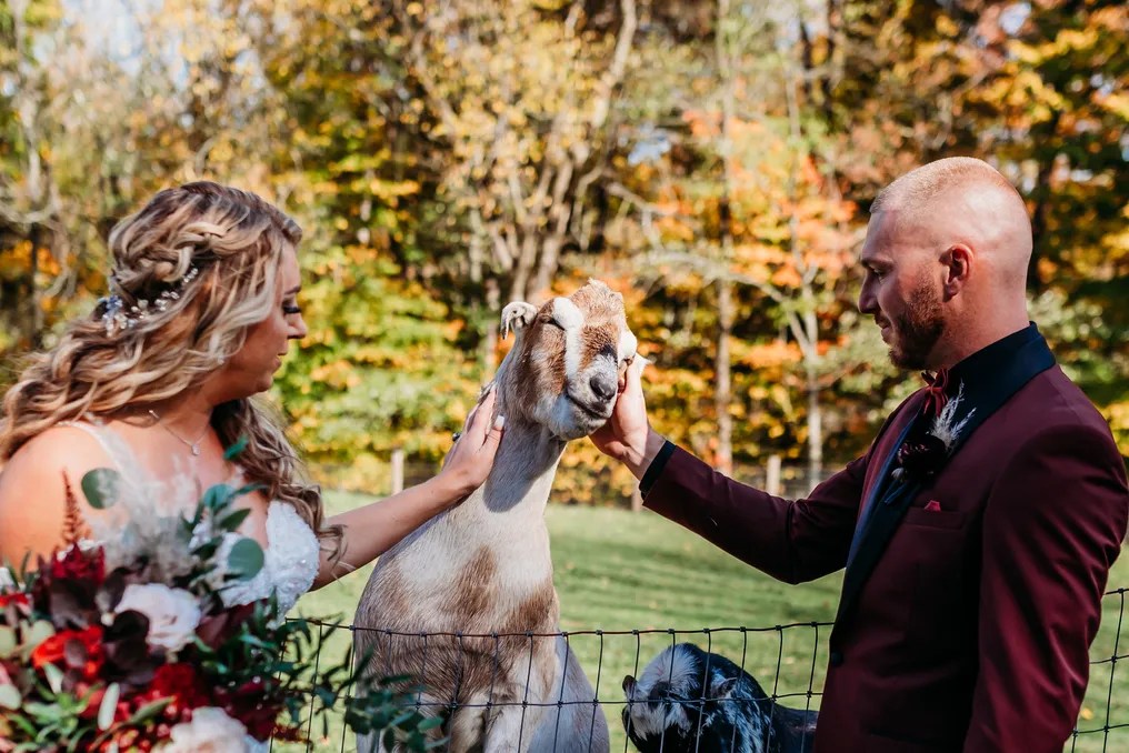 The Rustic Barn at Pleasantly Devine Stables #15
