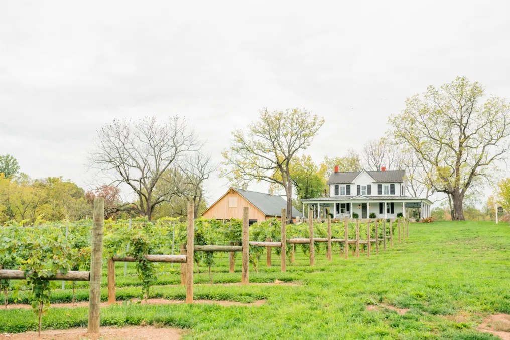 Old Farm Winery at Hartland #2