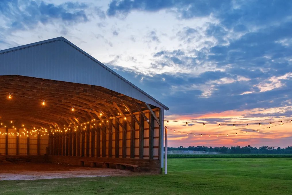 Brittingham Farms #6