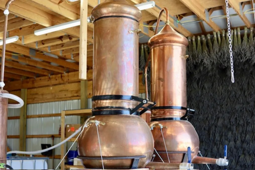 Brittingham Farms #20
