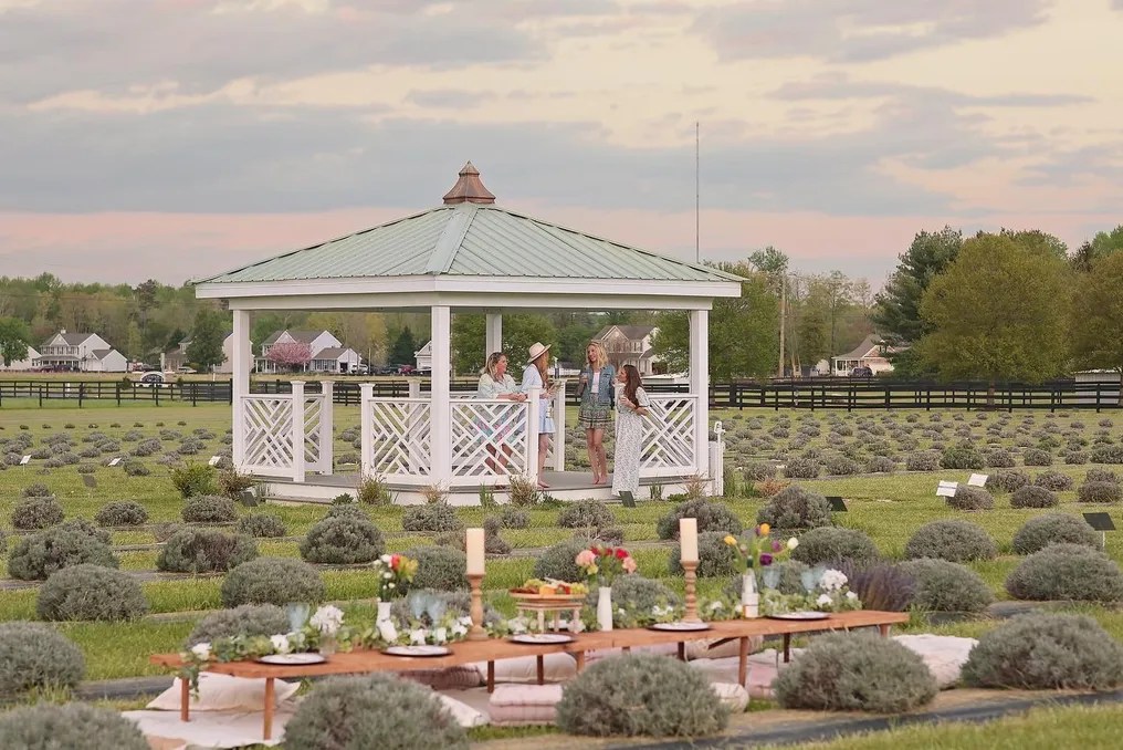 Brittingham Farms #22