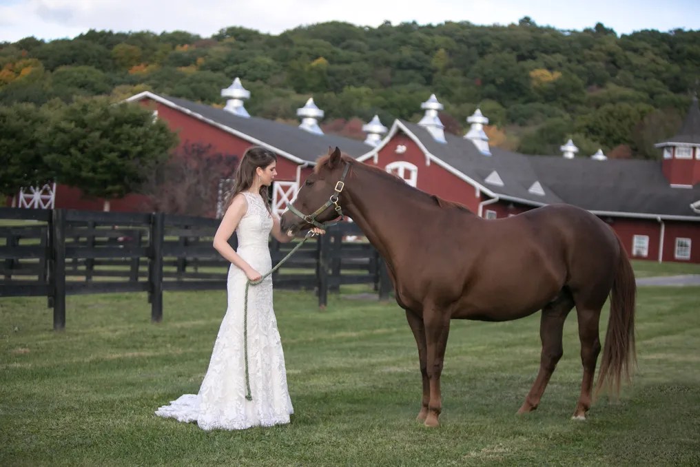 Kirby Hill Farm #2