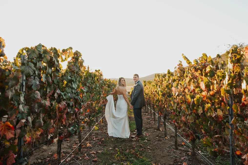 Doffo Winery #1