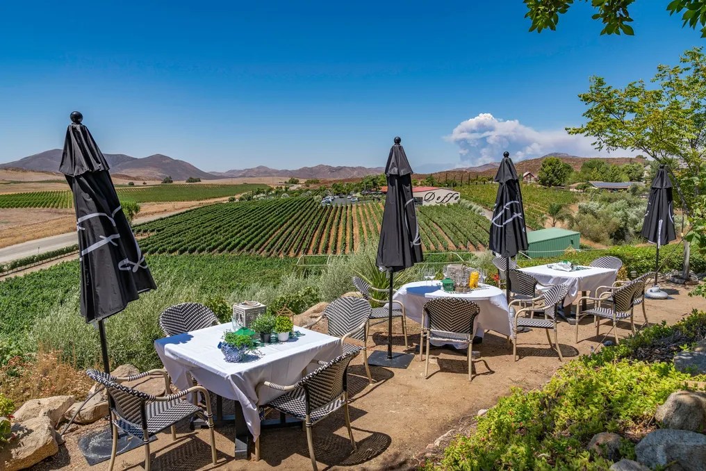 Doffo Winery #7