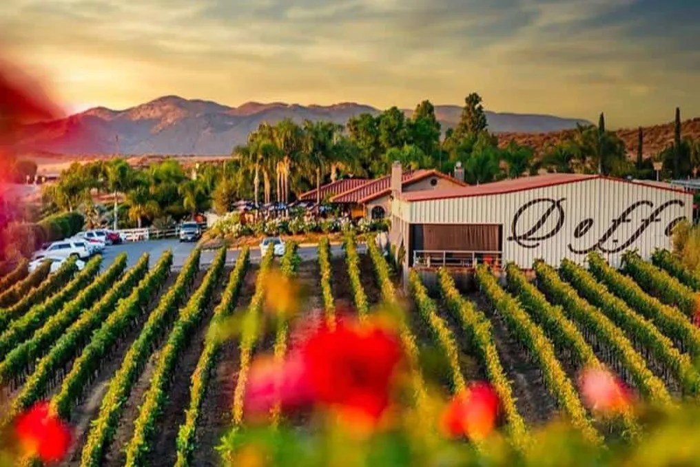 Doffo Winery #22