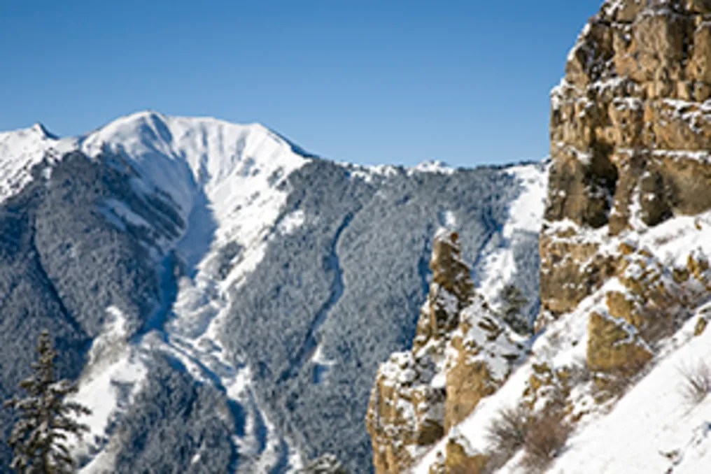 The Gant - Aspen #11