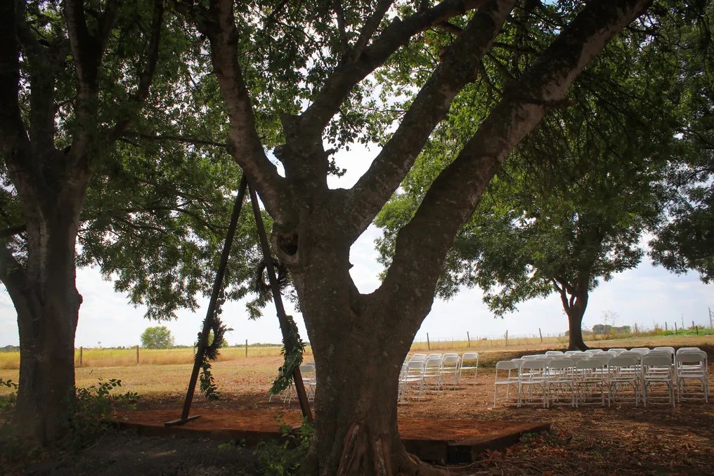 Southern Star Farms TX #2