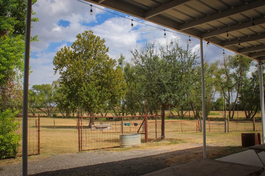Southern Star Farms TX #10