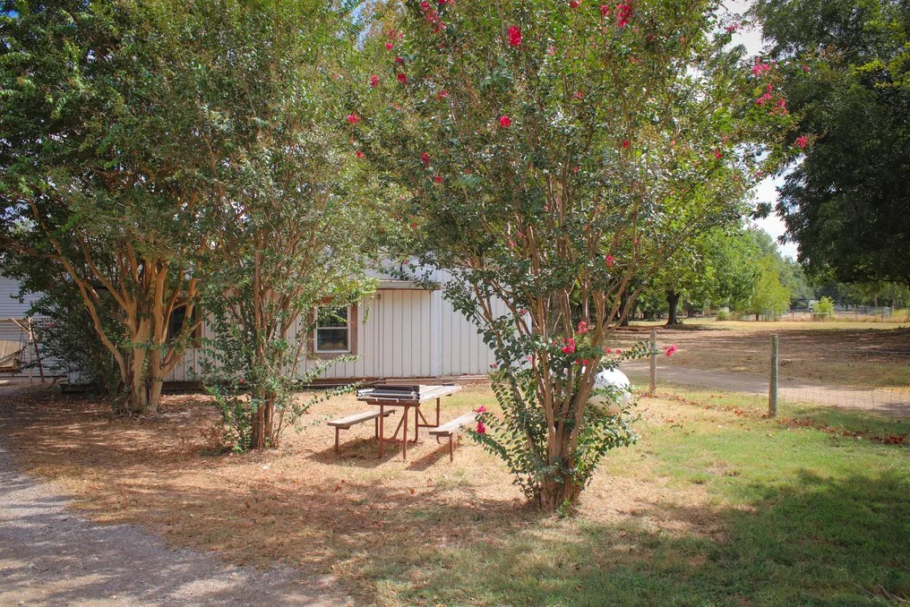 Southern Star Farms TX #31