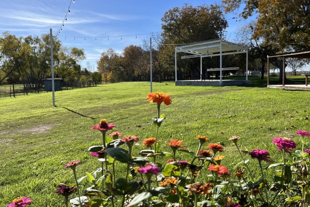 Southern Star Farms TX #37