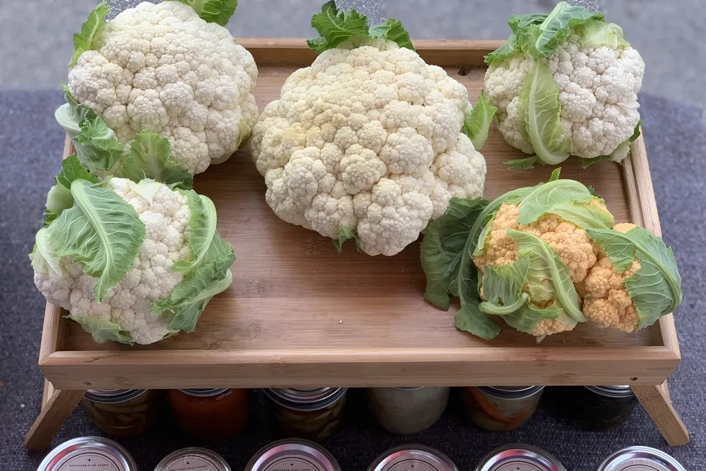 Southern Star Farms TX #57