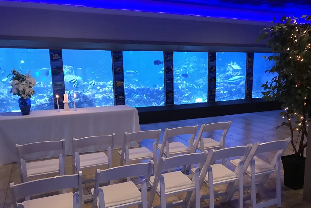 Gulfarium Marine Adventure Park #2