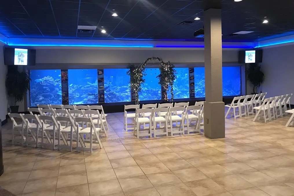Gulfarium Marine Adventure Park #3