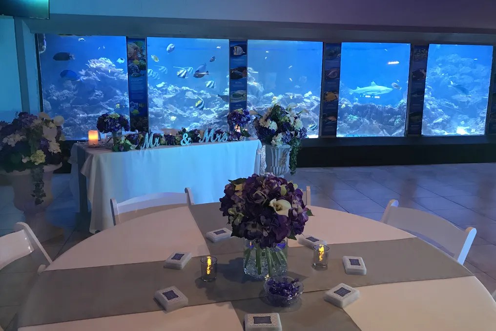 Gulfarium Marine Adventure Park #4