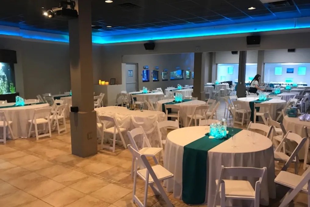 Gulfarium Marine Adventure Park #6