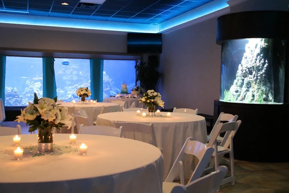 Gulfarium Marine Adventure Park #7