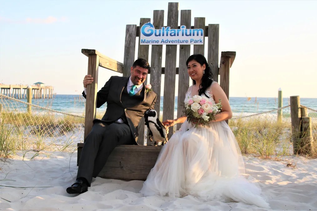 Gulfarium Marine Adventure Park #8