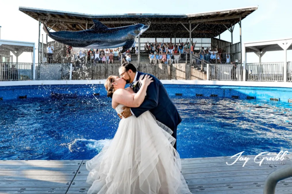 Gulfarium Marine Adventure Park #9