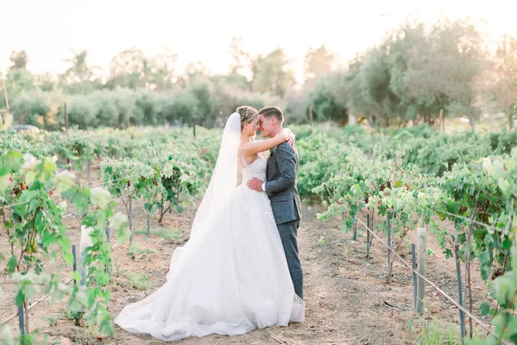 Bernardo Winery #1
