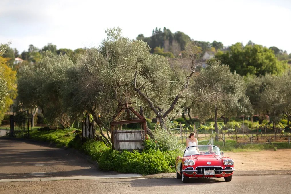 Bernardo Winery #11