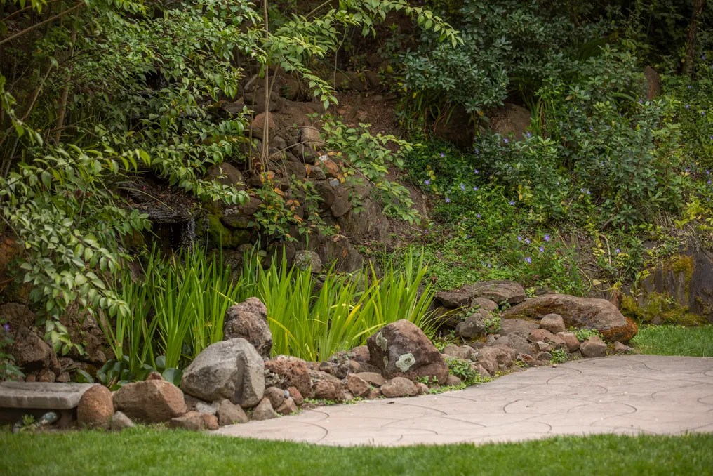 The Gardens at Sutter Creek #25