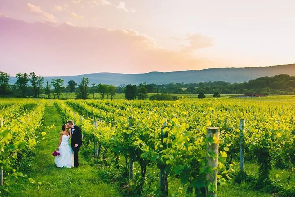 Breaux Vineyards #1