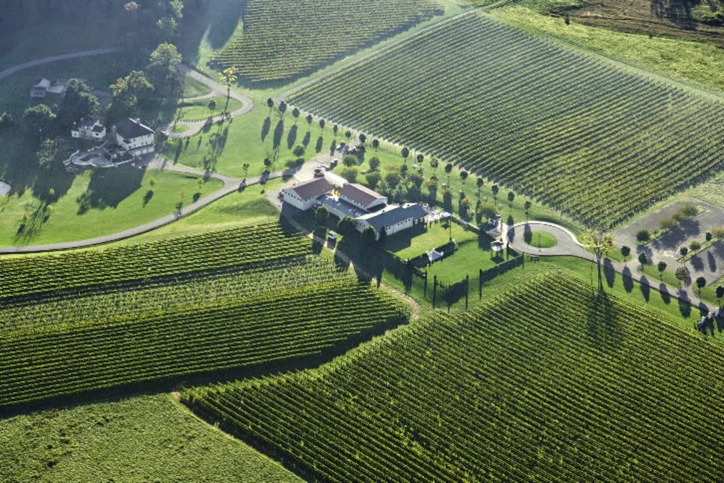 Breaux Vineyards #6