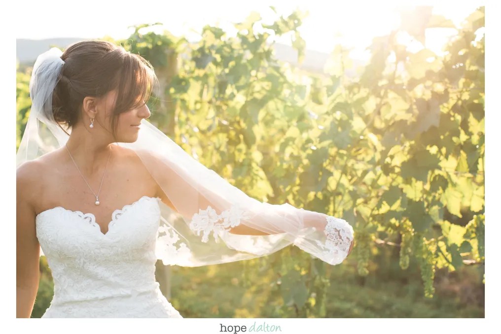 Breaux Vineyards #14